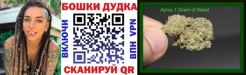 shop как зайти  Омутнинск  Канабис сатива 